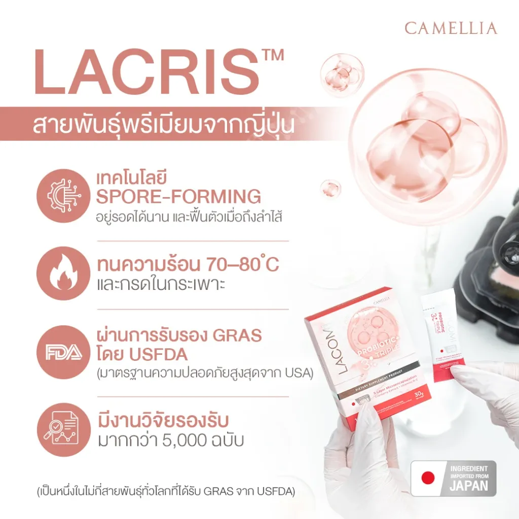 Sale Content Lacomi Hard 4.webp