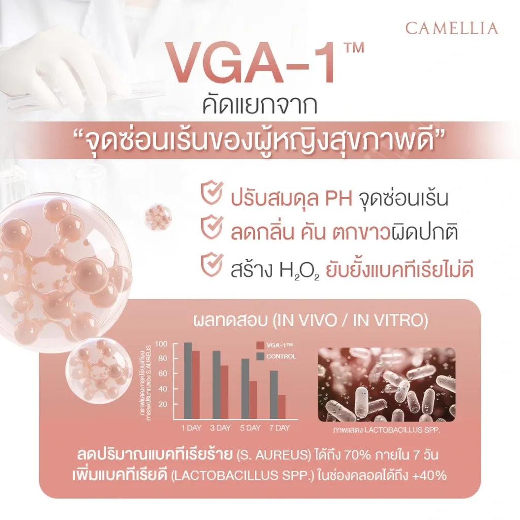 Sale Content Lacomi Hard 5.webp