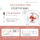 Sale Content Time Delay  Hard 5.webp