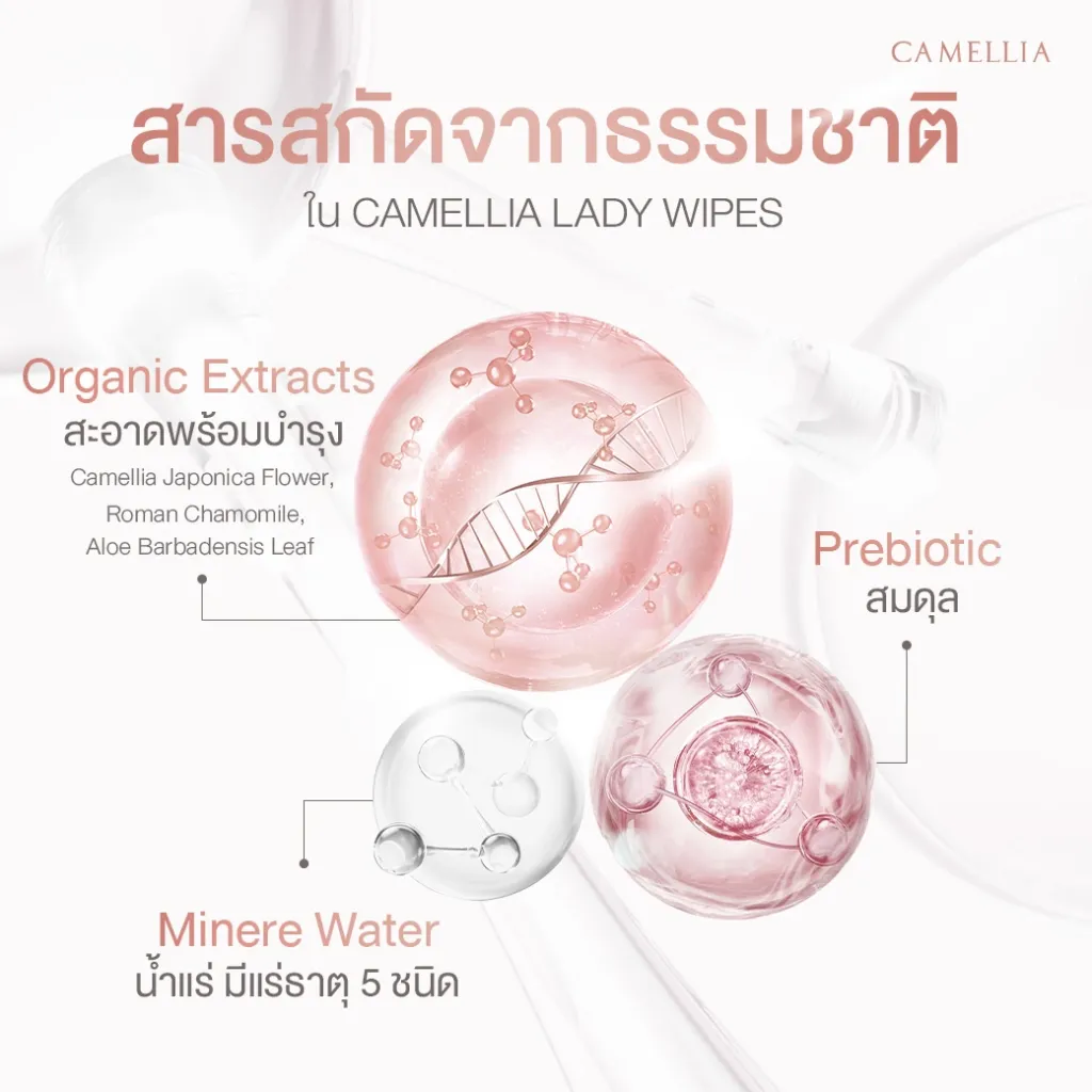 New Camellia Lady Wipes 2.webp