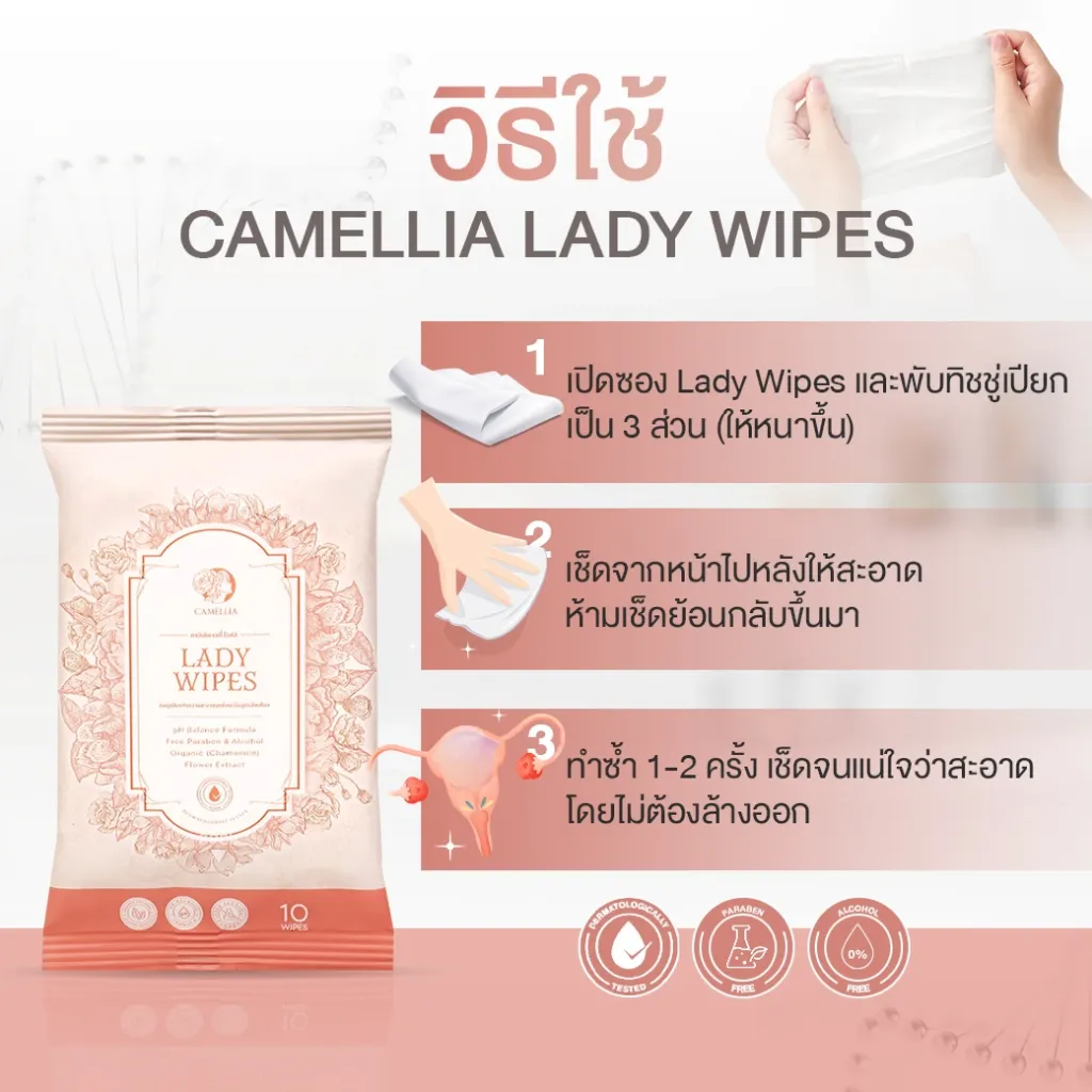 New Camellia Lady Wipes 4.webp