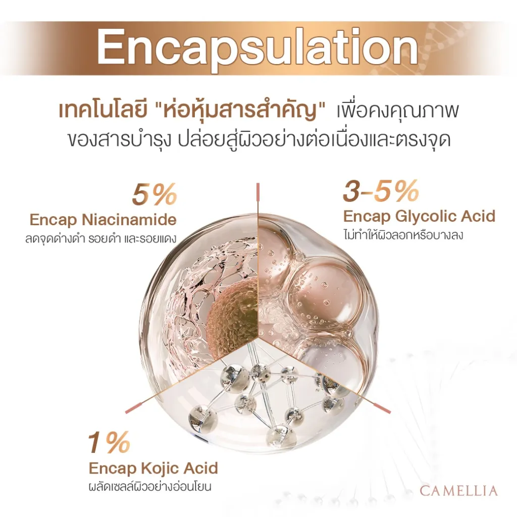 Sale Content Snow 2.webp