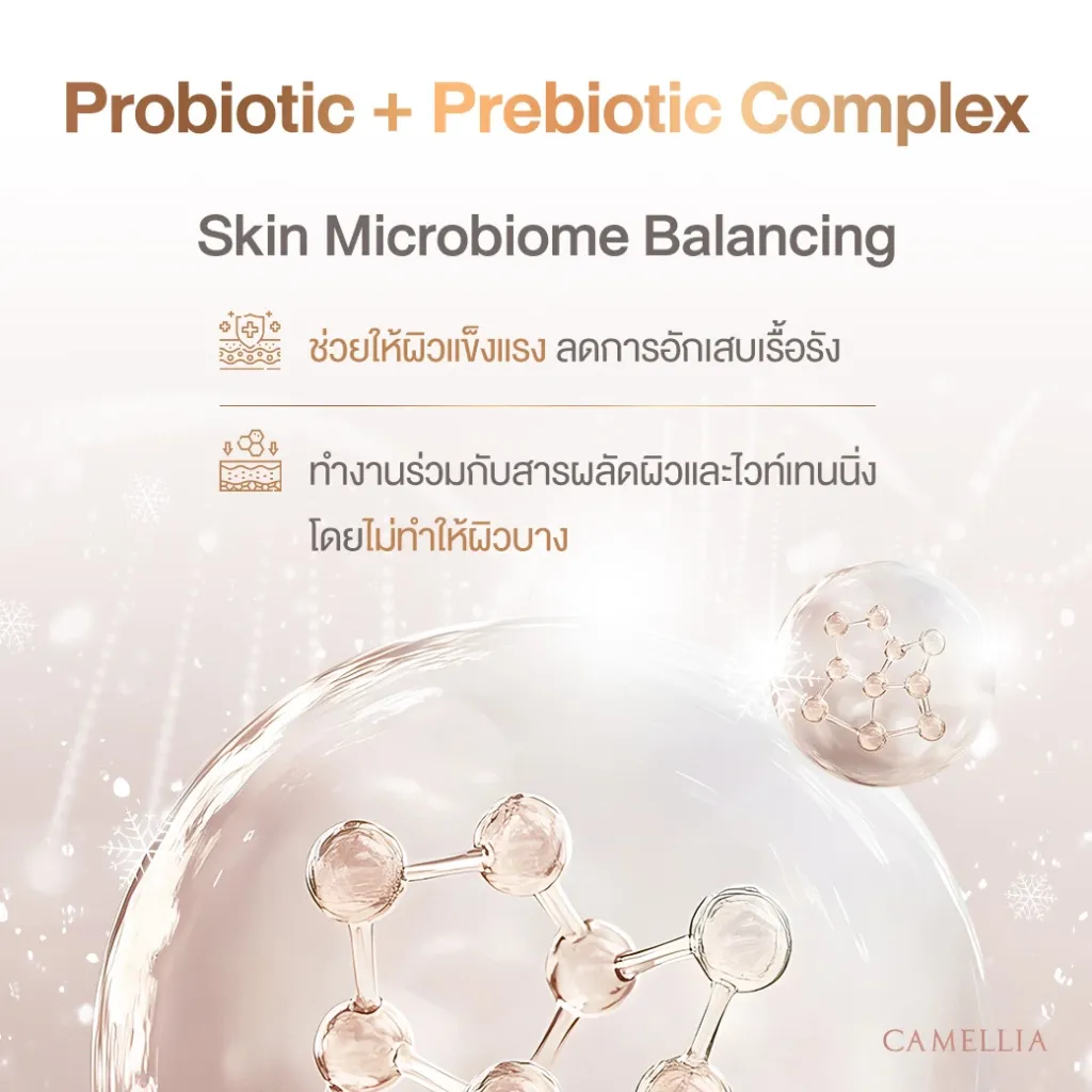 Sale Content Snow 3.webp