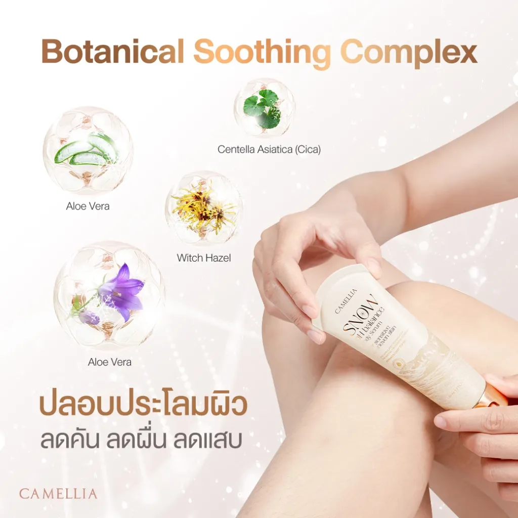 Sale Content Snow 4.webp