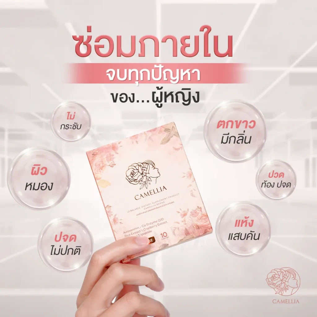 ปก LD BALANCE 2.webp