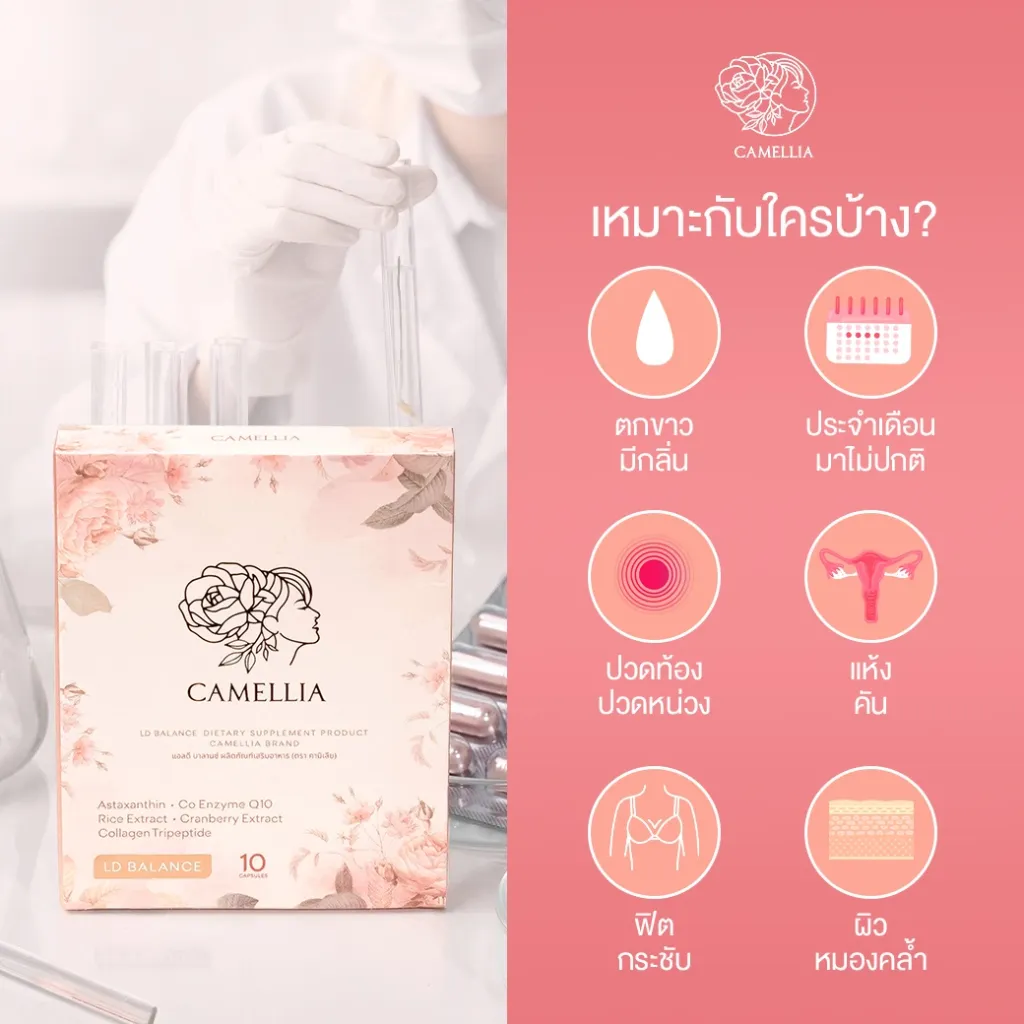 LD BALANCE 1 V1.webp