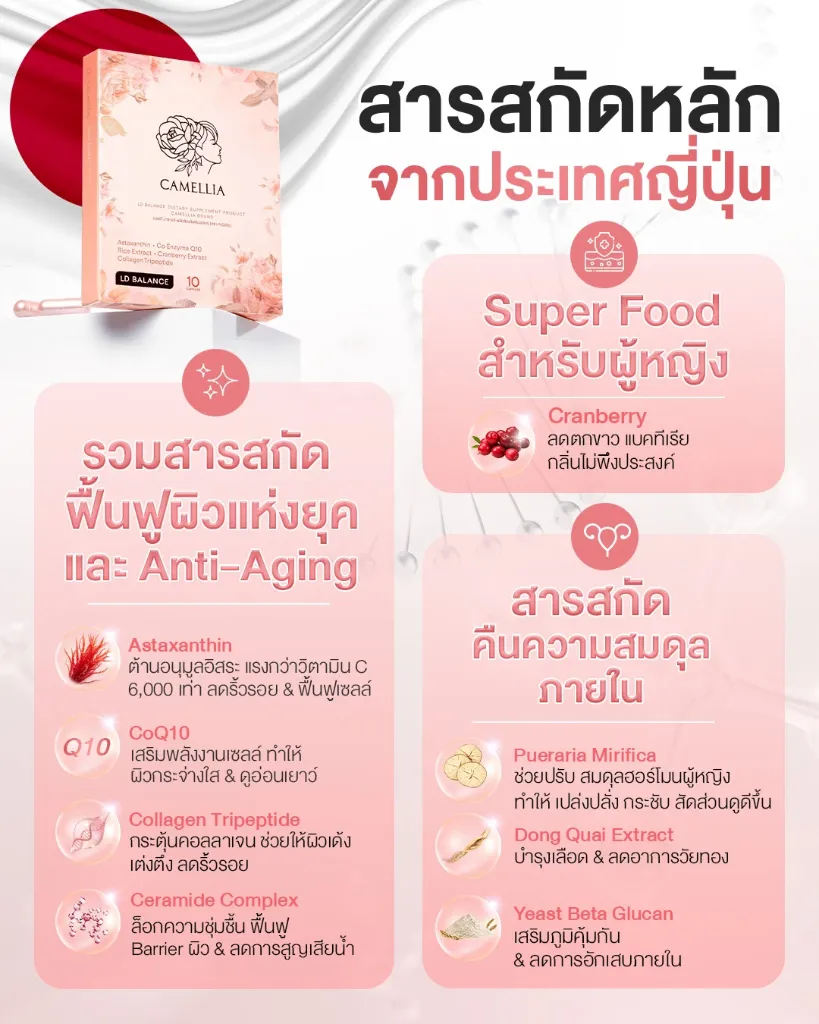 LD BALANCE 2 V2.webp