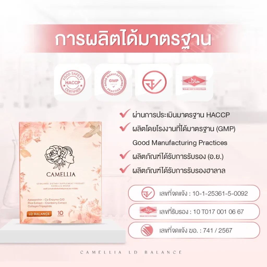 LD BALANCE 3 V2 (1).webp