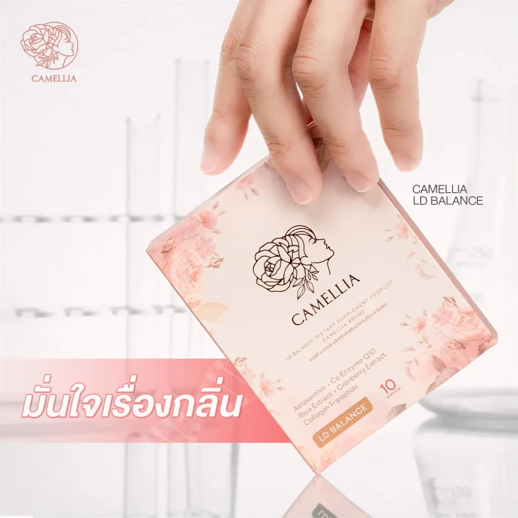 LD BALANCE 6 V2.webp