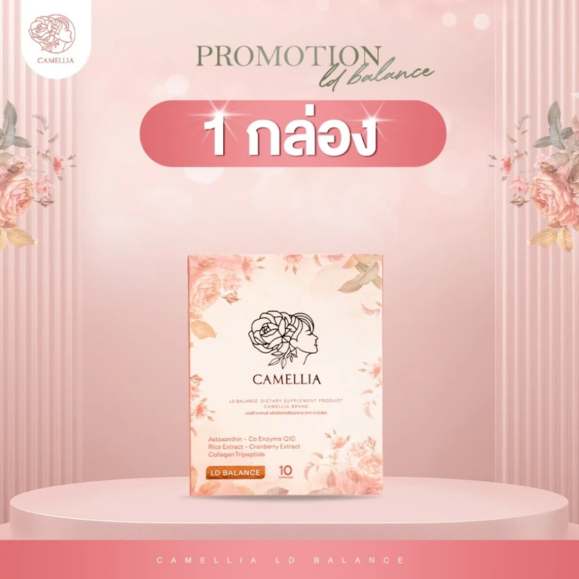 Camellia Perfectfit (1 กล่อง)